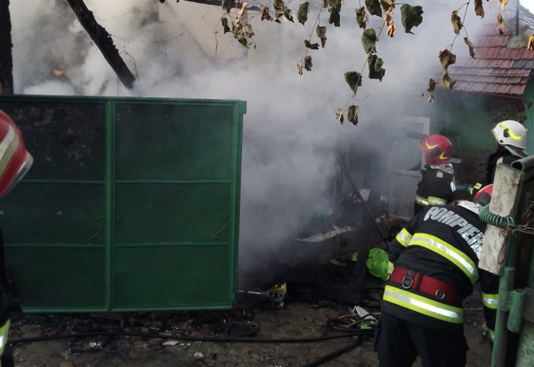 Foto Sute De Porumbei I G Ini Au Ars De Vii Ntr Un Incendiu La