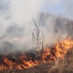 Incendiu de vegetație în Tetoiu: 25 de hectare au ars, pompierii intervin în teren dificil