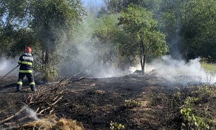 Incendiu vegetatie uscata