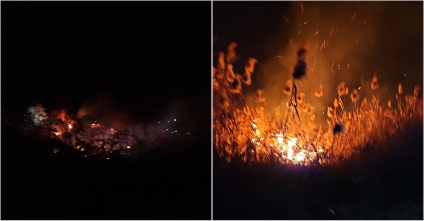 FOTO. Incendiu de amploare la Bujoreni. Arde vegetația uscată…