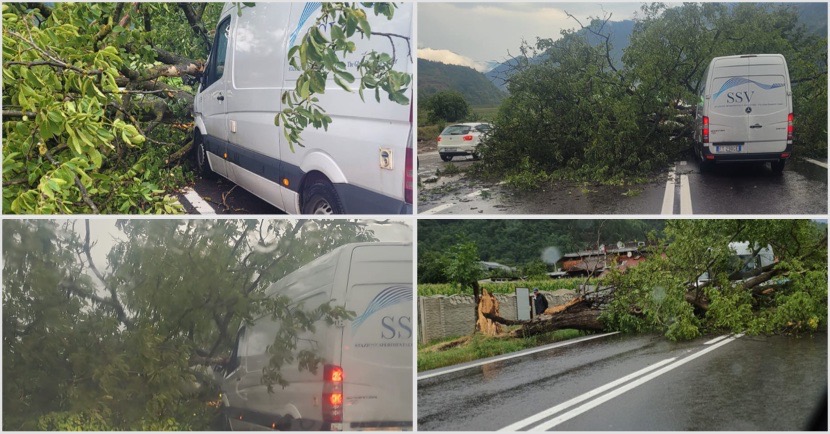 FOTO. Trafic îngreunat pe Valea Oltului, după ce un copac a căzut pe carosabil