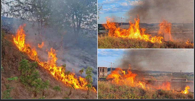 VIDEO. Incendiu de vegetație în zona Parcului “3 lacuri” din Râmnicu Vâlcea