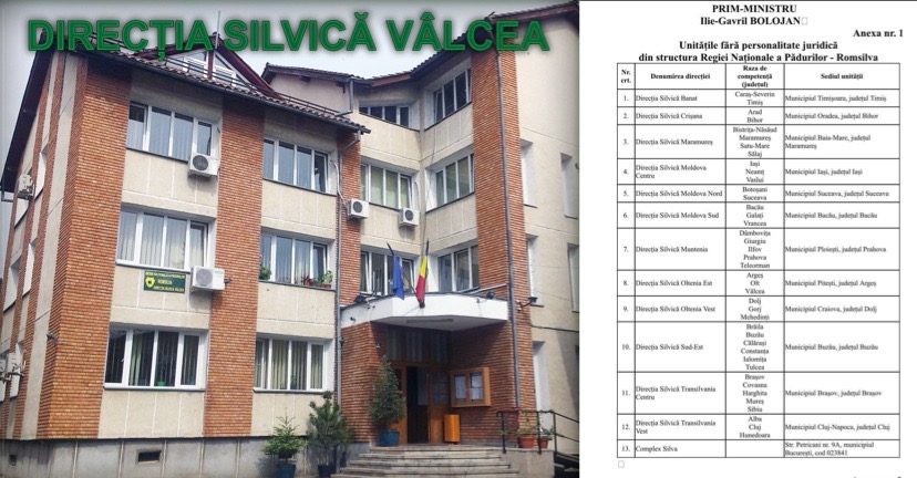 Reorganizare majoră la Romsilva: Direcția Silvică Vâlcea va dispărea, noul sediu regional va fi la Pitești