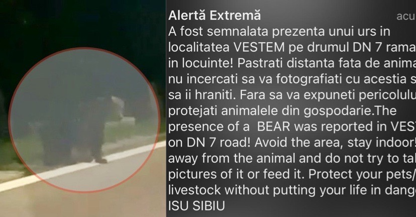 E48AA1A8-635B-4EA6-895F-F3F21C1C7DBE
