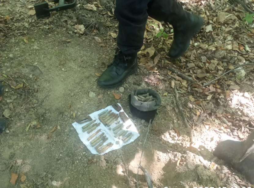FOTO. Descoperire periculoasă într-o pădure din Dăești: zeci de cartușe găsite de un localnic