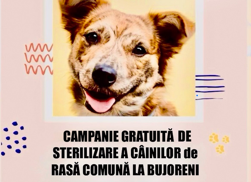 DCE1B8E6-7B3C-476A-9D9C-0858C1C7420C