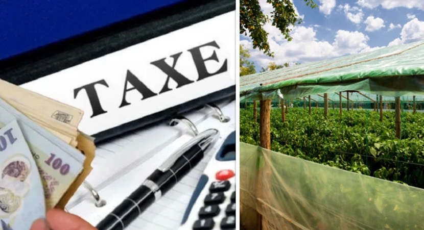 0067F841-07BC-4E23-A078-62CD39C40E0E