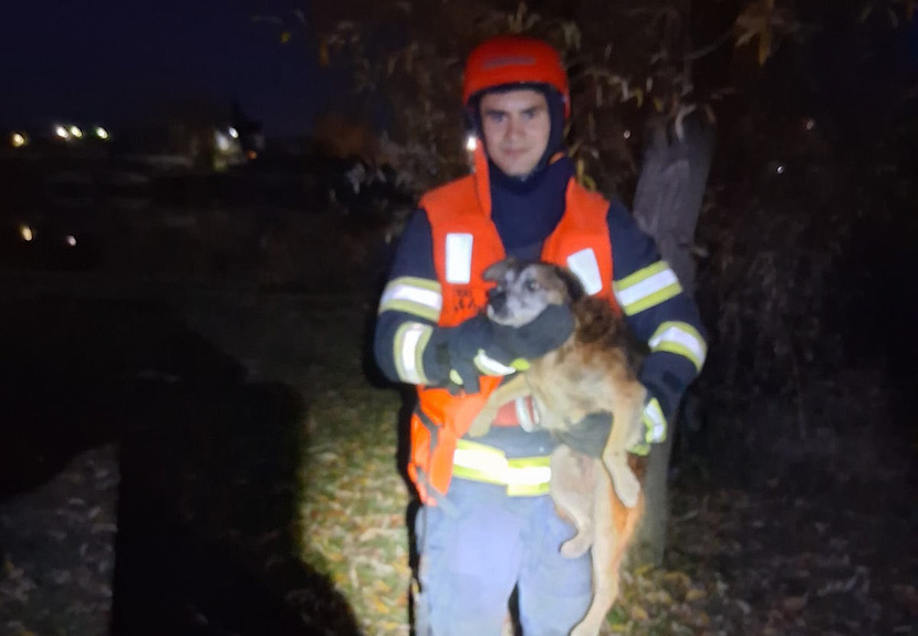 0898928B-4787-4C2E-8381-24D6DEABCB5F