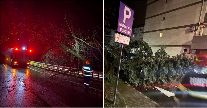 13BEE97E-1A41-49B5-ACCC-8E459A76F10E