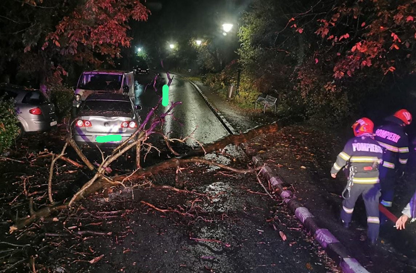 4EC23146-41B6-4C27-AAF5-F00A138A397E