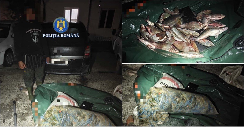 58C36AD6-035B-4977-B7BB-32F7C109242A