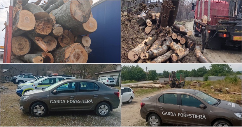 A05406C4-A844-4893-84E6-CE8C739F8070