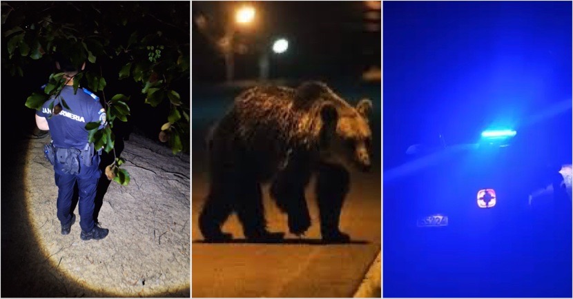 BE29D280-770F-4416-9F03-F87D0D2A6DF5