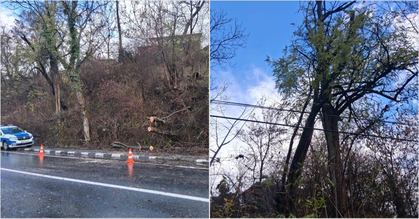 BFCA3033-A194-4D6C-A383-685862987914