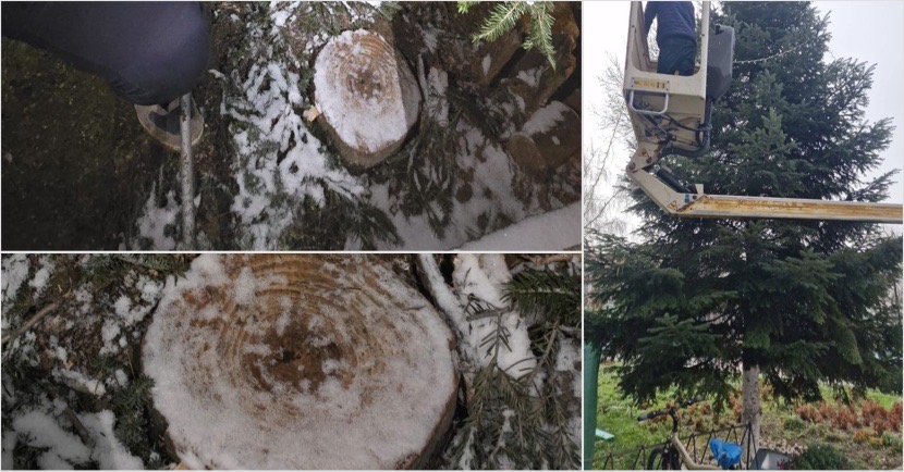 182A6A6E-4155-4C36-BE59-6D3195C6B61C