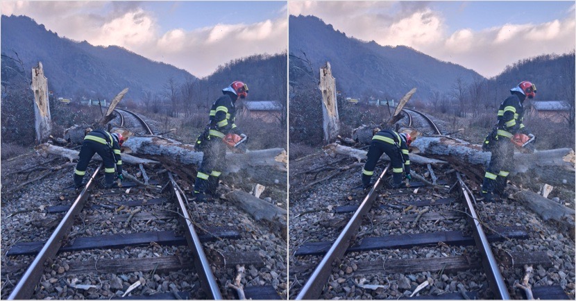 7963F7B4-FE24-4834-A17F-DC01EC1683DB