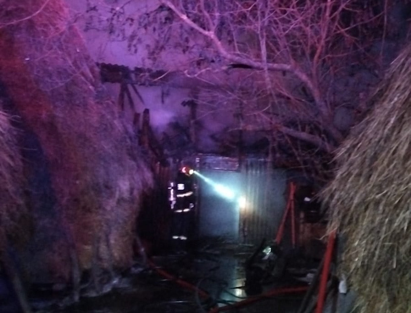 8EFF3C0E-41DF-43FC-AC66-EDDE6D92219E