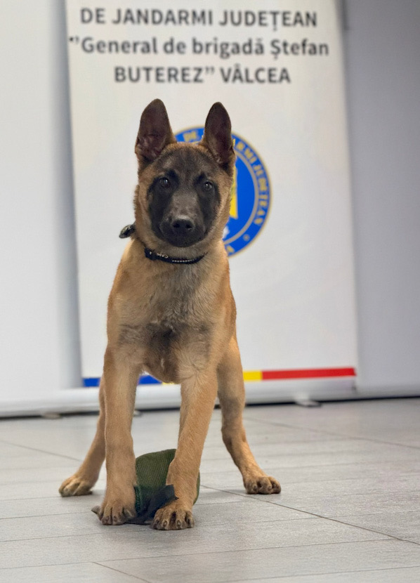 AC9B4FAE-A78A-4306-ACA4-F5713ECAB6D1