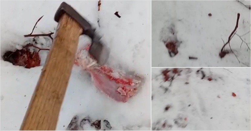 002FAC04-F813-41EA-814C-91F6D429BEFD