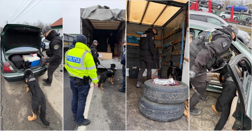 018F0DA3-7768-4A56-AF45-428BFC7647C1