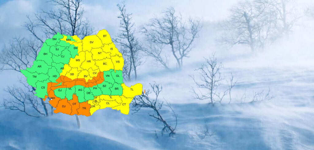 1FEA7287-8B62-4782-ABF9-1618F45B837A