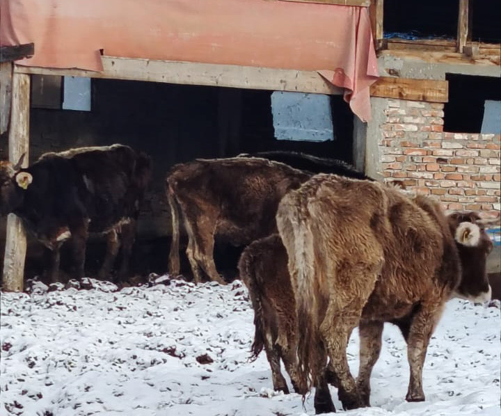 84E9FB1B-AC60-45D9-B129-F24EF8E05A8D