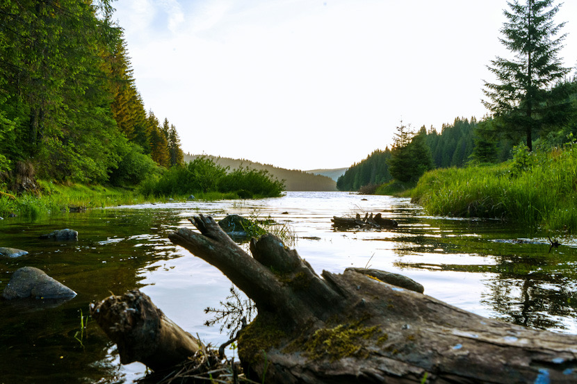 pexels-modus-vivendi-32588449