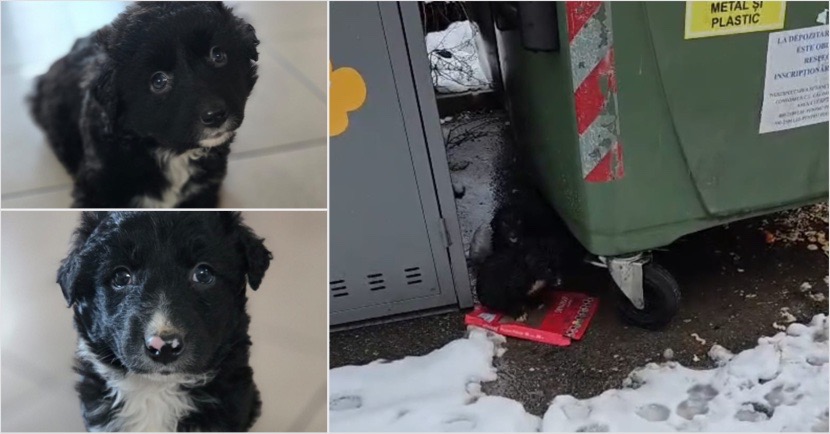 B11E7C69-C480-446B-A7C6-F2B01A132511