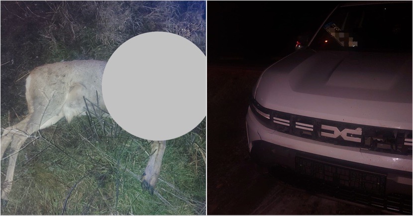 CB681172-EE9B-4534-8852-4617BD334023