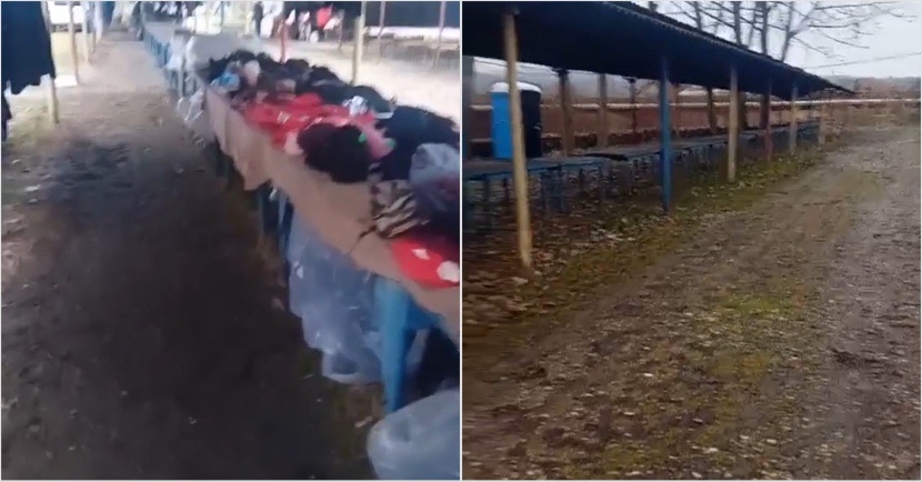 54B9A45F-ADE6-4948-80A0-250E617B92F4