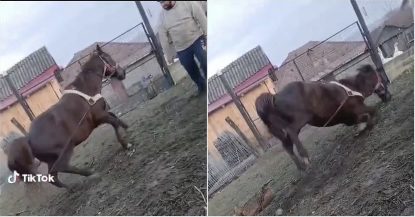 55E306C9-260A-4CA9-AB6B-4B349526AE60