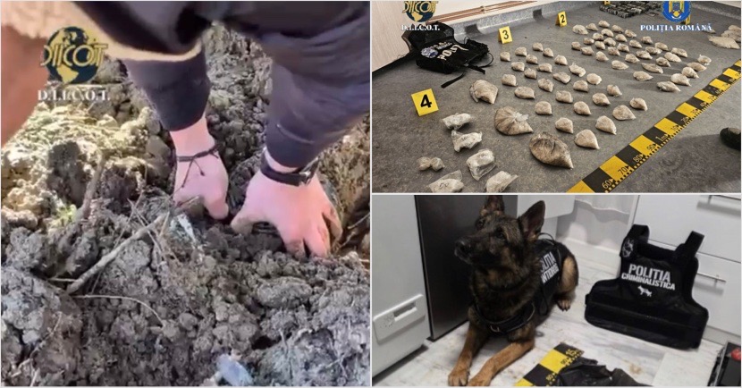 69FE56C1-A3C6-4CA1-AE34-E249964E62FD