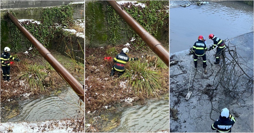 7D226FB4-4885-4C3A-B324-60DF4312CE4D