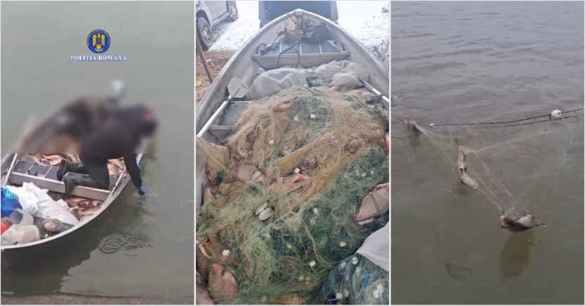 A12355F2-4792-4981-BA94-71E4CD4D58AA