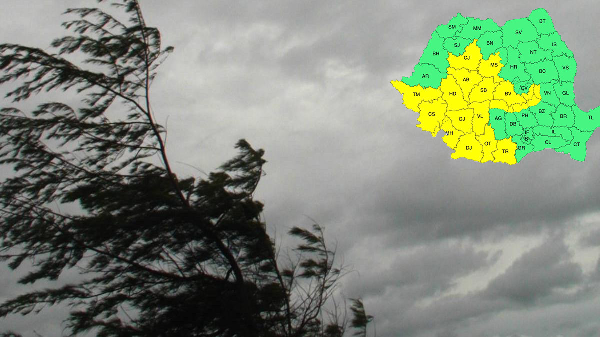 Vâlcea, sub cod galben de vânt. Rafale de până la 70 km/h în tot județul