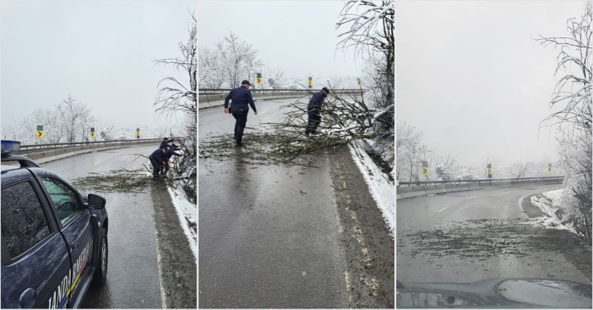 BFFE9FE5-78D1-4218-B526-F3A21C402A8A