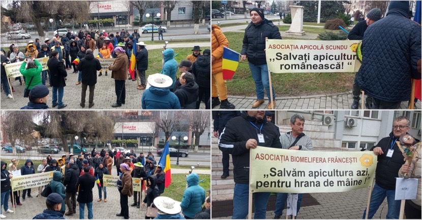 C92E29D2-5323-467A-9657-00F47EA73121