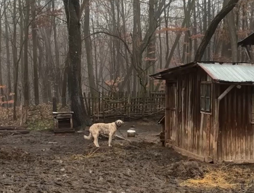 D3370CF9-93CF-4BBF-A7F0-557B9401A56D