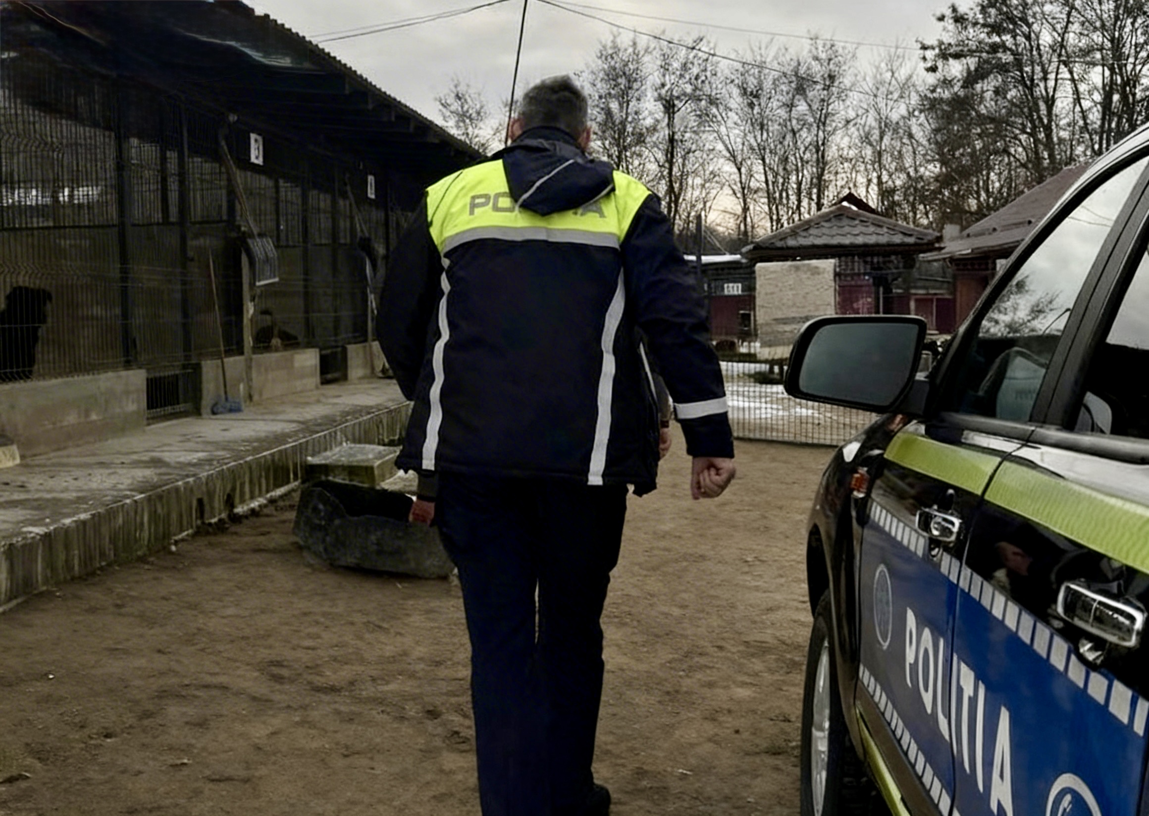 politia animalelor valcea