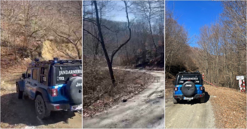 3425CD6D-294C-4116-993D-F5D1FB8EACE9