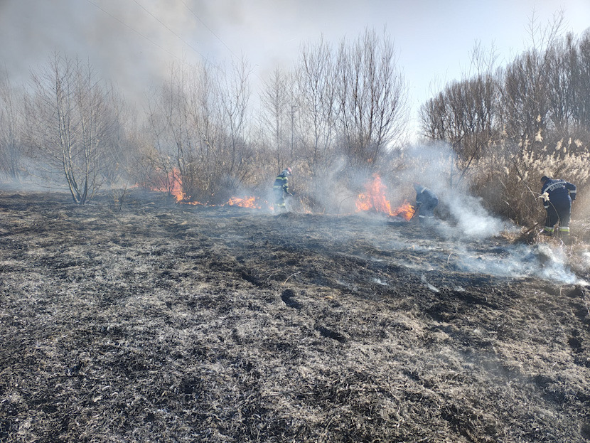 36D98E36-A2BC-477A-AA57-C062D112221F