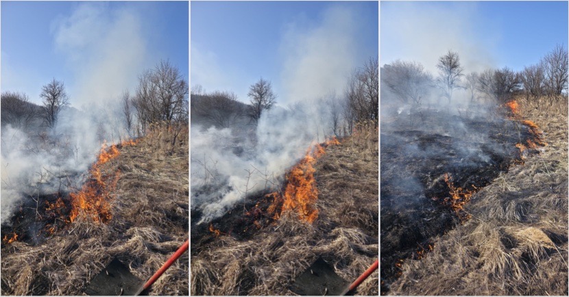 5A4A5CBE-4339-468A-847F-46F5F2C029A6