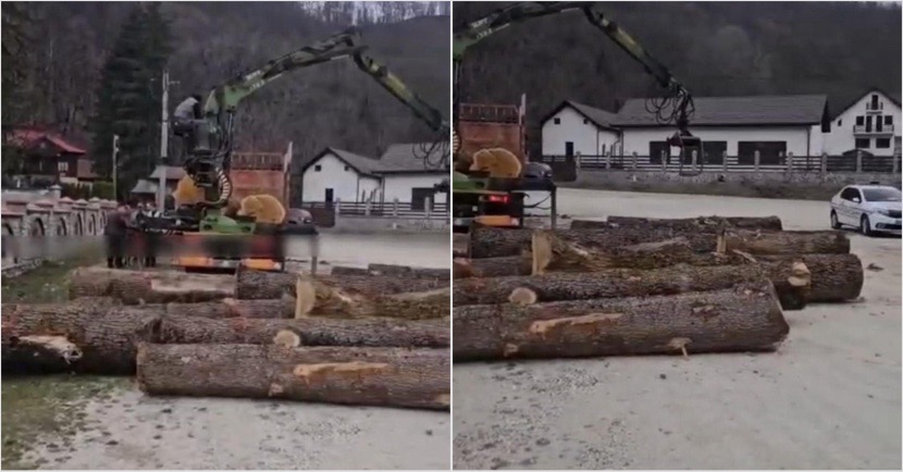 5B6BD613-C75E-4050-A2EF-E7E32218C380