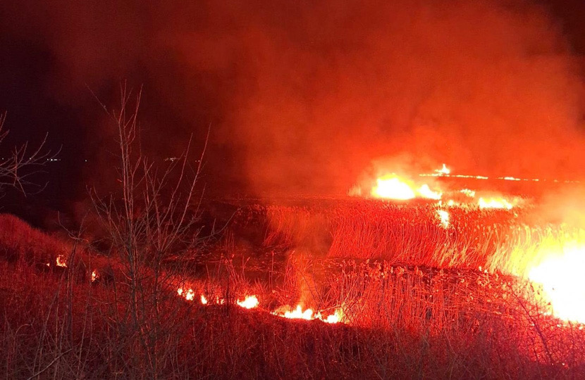 610CD882-F328-4BC7-AE61-94E1A8847F54