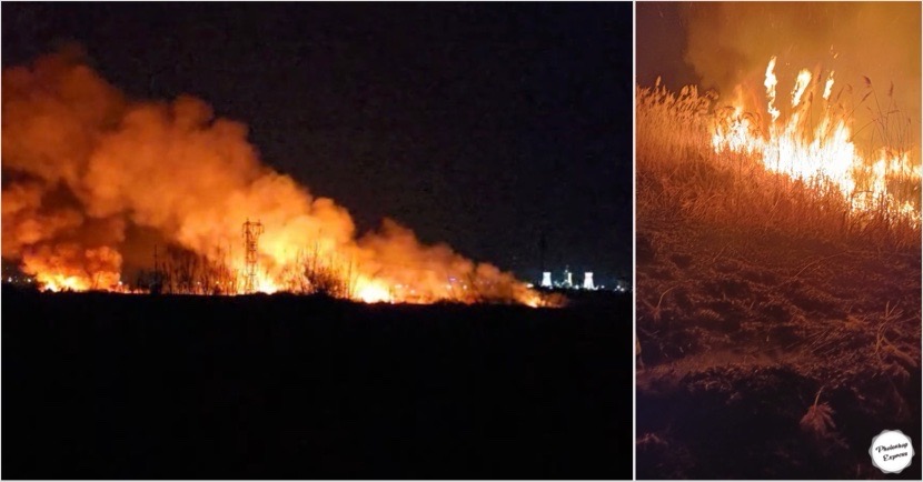 7472EA00-2E27-4E0A-A735-DF78020771B1