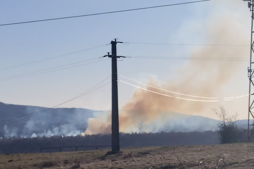 74AEFE76-0A33-4C5F-80D5-B61C1F034AF3