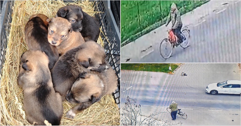 76AD33F9-DEF1-4D25-9FFF-97CA8F1FC181