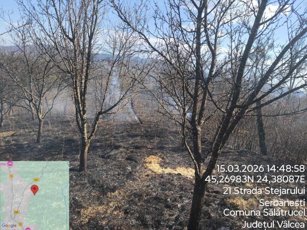 8e952ea1-94d7-460a-ae21-eabb782dcb23