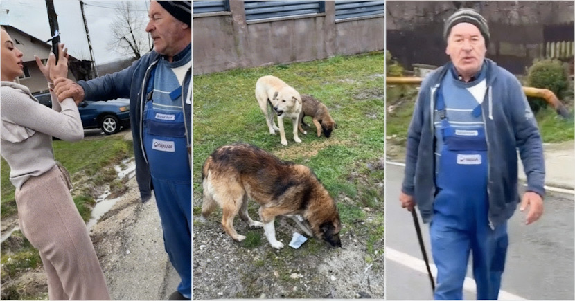 955B1045-E1AD-484C-A613-D2B2B2797D6C