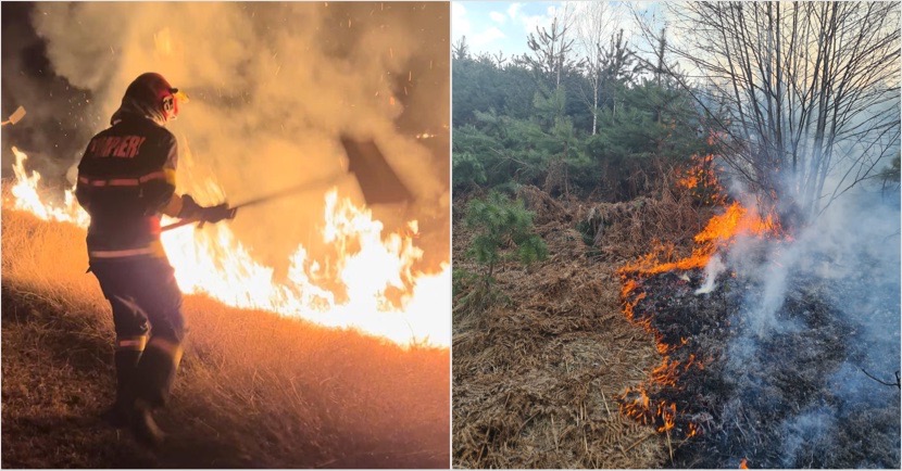 74 de incendii de vegetație în Vâlcea și 7 piromani descoperiți. Cu ce se confruntă pompierii